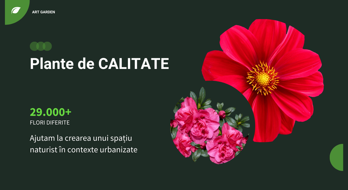 sisteme irigatii performante