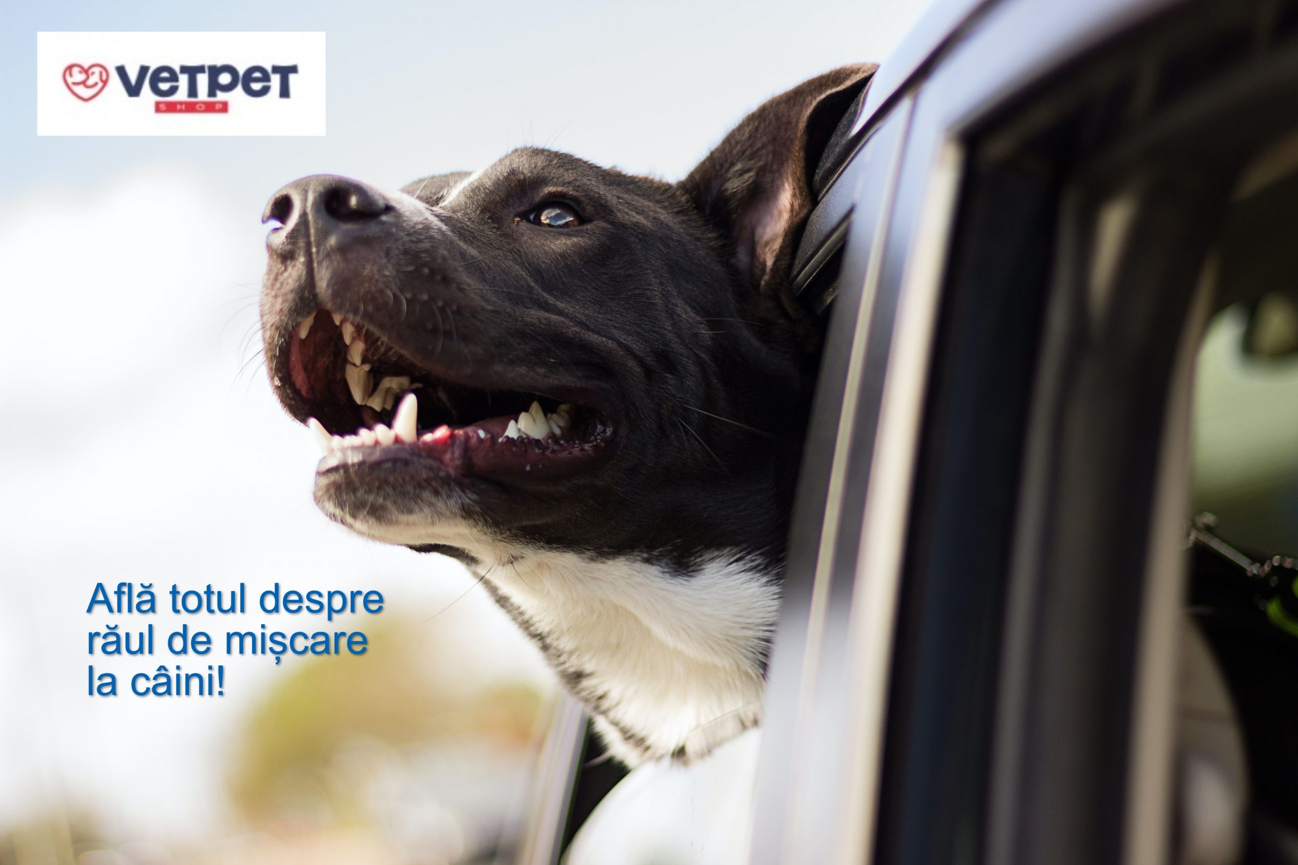 farmacii veterinare online